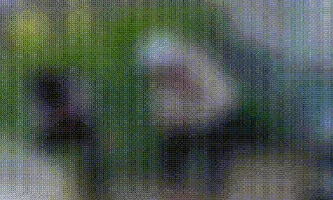 Đoạn clip 23 giây ở Cà Mau gây "bão" mạng xã hội