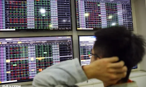 Rót hơn 770 tỷ đồng đầu tư chứng khoán, Digiworld "tạm lỗ” 90 tỷ đồng