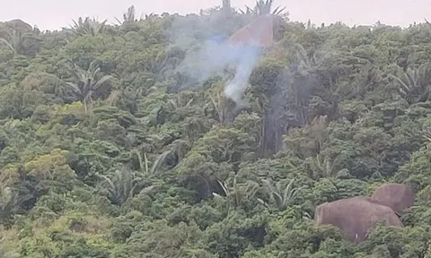 Bộ Quốc phòng thông tin về sự cố máy bay quân sự rơi tại Đắk Lắk