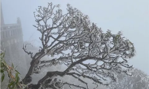 Miền Bắc đón đợt không khí lạnh mạnh bao phủ, khi nào rét đậm đạt đỉnh?