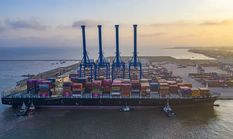 Viconship (VSC) báo lãi ròng 681 tỷ trong năm 2025, tăng 130% so với năm trước, giải thích về lợi nhuận thương vụ thoái vốn