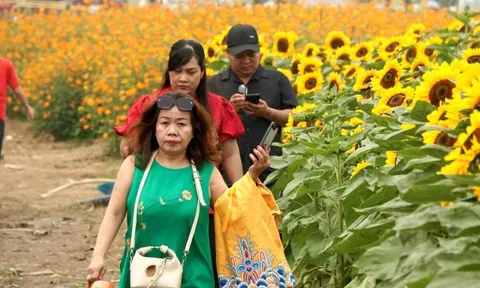 Dự báo thời tiết ngày 2/2: Bắc Bộ có nơi rét đậm, Nam Bộ nắng 33°C