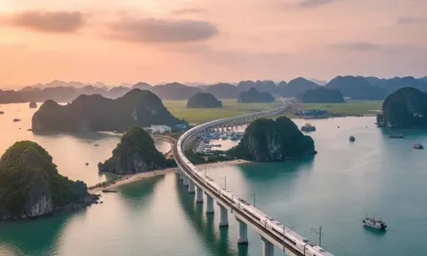 Quy mô ‘khủng’ dự án đường sắt tốc độ cao Hà Nội - Quảng Ninh