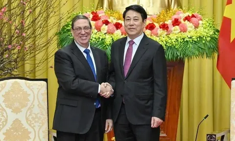 Chủ tịch nước Lương Cường tiếp Đặc phái viên Đảng, Nhà nước Cuba