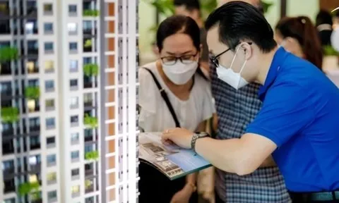 Hành vi liên quan đến bất động sản có thể sẽ bị xử lý hình sự, tất cả người dân chú ý