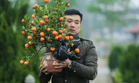 Dự báo thời tiết ngày 4/2: Miền Bắc rét đậm cục bộ, trưa chiều nắng ấm