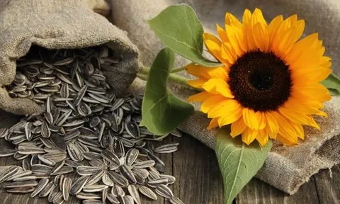 Hướng dương, đậu phộng chưa chắc tốt bằng 3 loại rau này: Tóc đen hơn, người mát, ăn là mê