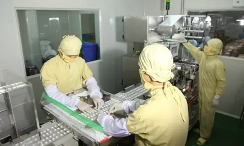 Điều kiện bảo đảm an toàn thực phẩm trong sản xuất thực phẩm bảo vệ sức khỏe