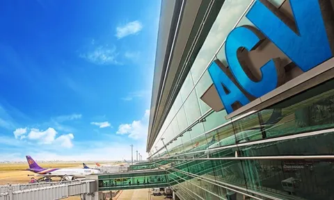 ACV biến động nhân sự, ai là người ký báo cáo tài chính?