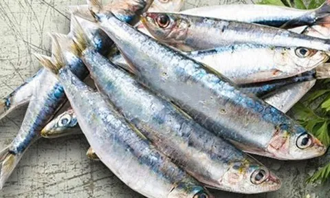 7 loại cá tích tụ thủy ngân nhiều bậc nhất