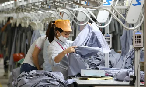 Đòi hỏi doanh nghiệp Nhà nước năm nào cũng lãi là thiếu thực tế