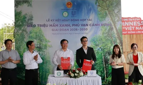 Từ kỷ lục Guinness đến 1 triệu cây xanh: Unilever và chiến lược "hồi sinh" rừng Việt Nam
