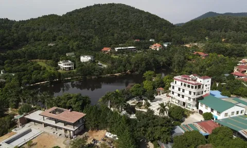 Viện dưỡng lão nội trú duy nhất giữa rừng thông: Cách trung tâm Hà Nội 40km, giá từ 300.000đ/ngày