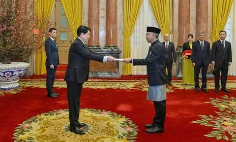 Chủ tịch nước Lương Cường tiếp Đại sứ Indonesia và Philippines trình Quốc thư