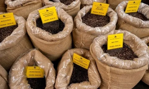 Chỉ trong 1 tháng đầu năm, "vàng nâu" giúp Việt Nam thu về hơn một tỷ USD, hơn 80 nước ồ ạt đặt mua