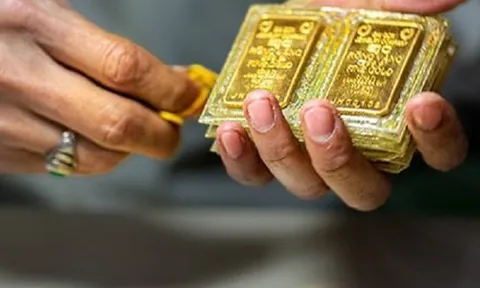 Thủ tướng chỉ đạo: Cần khẩn trương hoàn thiện báo cáo nghiên cứu các giải pháp huy động ngoại tệ và vàng miếng trong dân