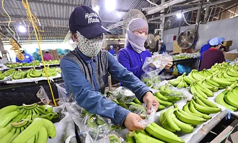 Tạm dừng Nghị định 46, doanh nghiệp vẫn chưa hết lo