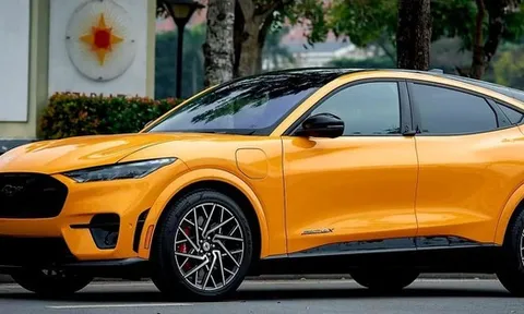 Nóng: Ford thu hồi 434 xe điện tại Việt Nam