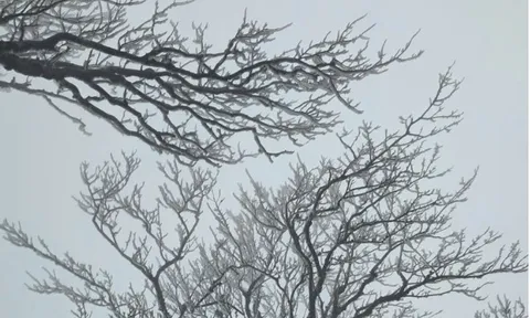 Dự báo thời tiết 11/2: Miền Bắc sắp đón đợt không khí lạnh tăng cường, nền nhiệt giảm mạnh