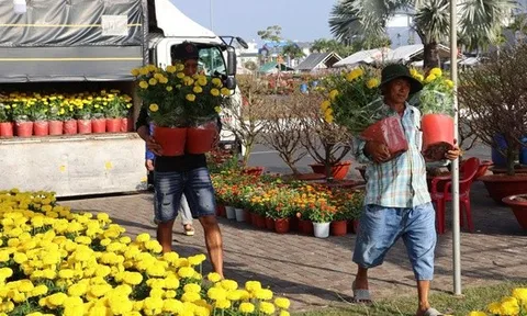 Hoa Tết giá mềm, hút khách