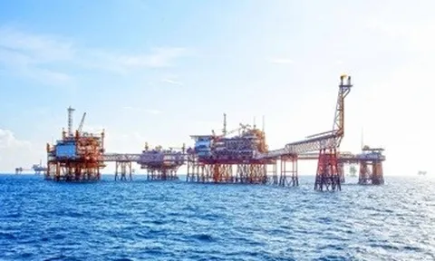 Lương nhân viên 40 triệu đồng, PV GAS D chấp nhận giảm lãi để giữ thị phần