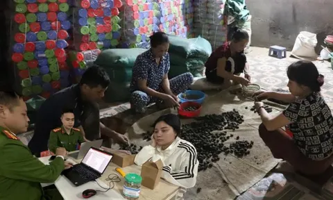 Đồng loạt khám xét 6 địa điểm ở 2 tỉnh trong chuyên án thuốc giả quy mô lớn, bắt Đoàn Thị Lam SN 1972