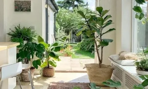 3 dấu hiệu chứng tỏ ngôi nhà của bạn đang có phúc khí, càng ở càng có lộc, đừng dại bán đi