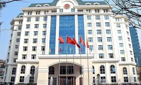 Doanh nghiệp Đà Nẵng, An Giang, Quảng Ninh, Thái Nguyên... có động thái bất thường, Cục Thuế đưa ra cảnh báo 'nóng'