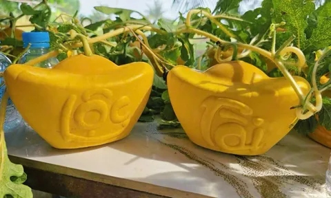 Trái cây tạo hình 2 triệu đồng/quả vẫn không đủ bán