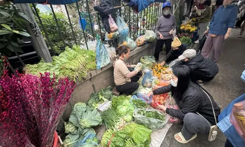 Gần Tết Nguyên đán, rau xanh đứng giá, thịt cá nhích nhẹ