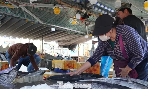 27 Tết: Cá thu giá 'chát' vẫn bán vèo vèo