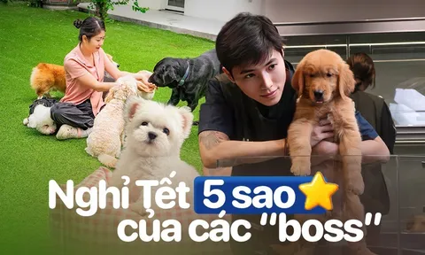 Thú cưng đi nghỉ Tết ở resort cao cấp, có “quản gia” phục vụ cả ngày: Phụ thu 35%, chủ vẫn chi tiền