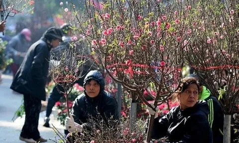 Dự báo thời tiết 15/2: Miền Bắc đón đợt không khí lạnh mạnh, trời mưa rét trở lại