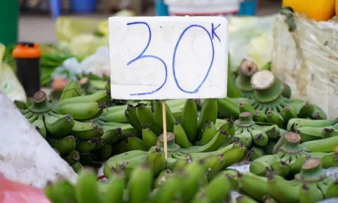 Chuối xanh 28 Tết: Từ nửa triệu ‘rơi’ xuống 30.000 đồng vẫn ế