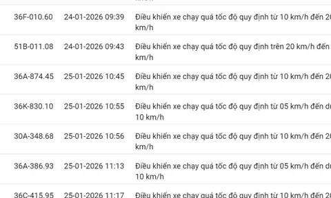 595 chủ xe có biển số sau nhanh chóng nộp phạt nguội theo Nghị định 168: Vi phạm cùng 1 lỗi có mức phạt lên tới 22 triệu đồng