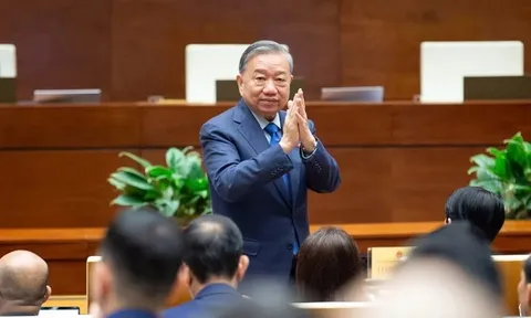 Các Ủy viên Bộ Chính trị, Ban Bí thư và nơi ứng cử đại biểu Quốc hội khóa mới