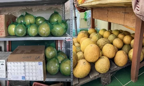 Cảnh tượng nhìn là biết Tết miền Bắc