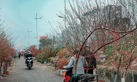 Miền Bắc dồn dập đón đợt không khí lạnh cực mạnh, trời trở rét đêm Giao thừa