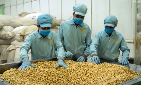 Nhập khẩu 65 nghìn tấn 'hạt vàng' - quốc gia này giúp Việt Nam 'bỏ túi' hơn 430 triệu USD ngay đầu năm mới Bính Ngọ