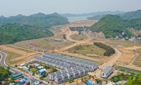 Doanh nghiệp bất động sản tất bật M&A trong năm 2025