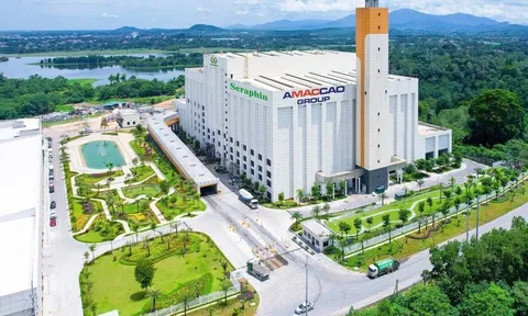 Điện rác Seraphin (AMACCAO) - Nơi ngọn lửa không tắt trong mùa đoàn viên