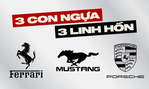 Cùng là ngựa, vì sao logo Ferrari chồm lên, Mustang lao đi, Porsche đứng vững?