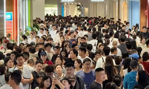 Triệu người trở lại làm sau Tết có cơ hội “đổi đời” nếu thuộc 4 con giáp này