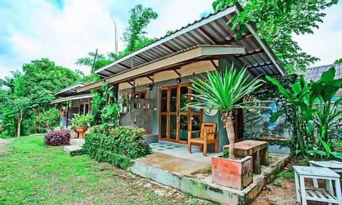 Ngày tôi quyết định bán căn nhà ở phố về quê sống, hàng xóm chê cười, Tết năm nay họ lại ngại ngùng nhìn tôi khâm phục