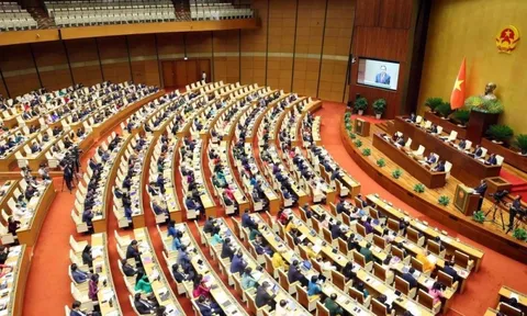 Nhân sự Chính phủ, Quốc hội ứng cử đại biểu Quốc hội khóa XVI