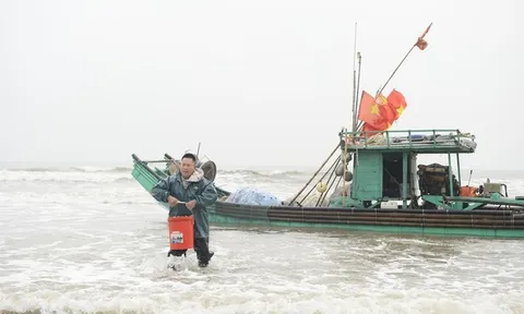 Ngư dân vươn khơi hái lộc biển đầu năm, mang về thuyền đầy tôm, cá