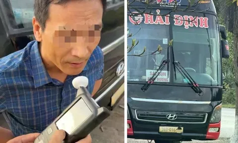 Tài xế khách 42 chỗ không bằng lái, vi phạm nồng độ cồn bị phạt 80 triệu đồng