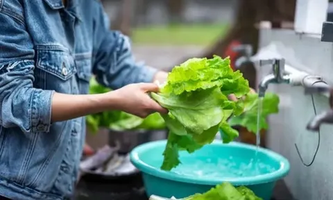 4 cách rửa rau tưởng sạch mà hóa “rửa càng kỹ càng bẩn”: Nhiều người đang làm mỗi ngày