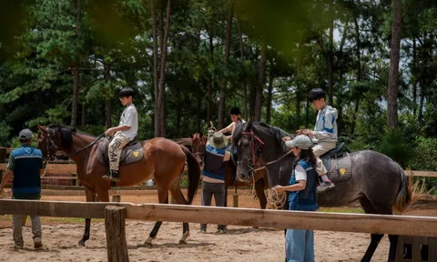 Cưỡi ngựa xuyên rừng già - Trải nghiệm hút khách ở Măng Đen dịp Tết