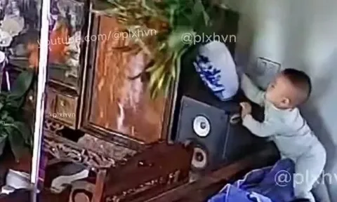 Đoạn video đang khiến cư dân mạng Việt Nam "bùng nổ": Bố mẹ cư xử thế này, bảo sao gia đình hạnh phúc!